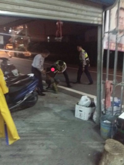 1071110關山工作站查獲牛樟芝案件